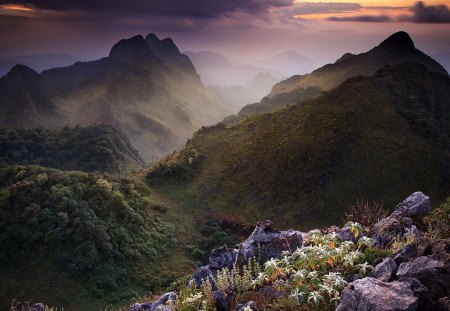 magnificent limestone landscape in thailand - flowers, hills, limestone, mist