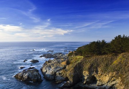 point on a rugged sea coast - coast rugged, trees, point, sea, sky