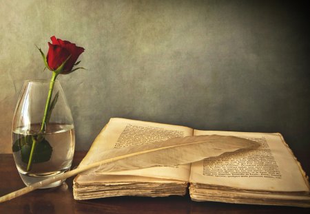 Rose - rose, red, book, glass