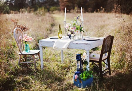 Romance - candles, photography, field, lovely, nature, romantic, lantern, romance, flowers, dinner