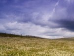 thick clouds over flowering meadow