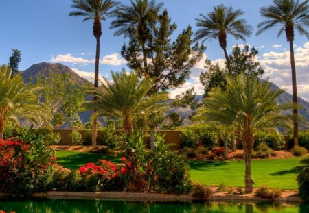 garden in paradise - flowers, paond, palms, garden, mountains