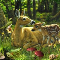 Deer Family