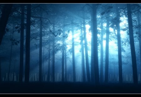 ✰BLUE BEAM✰ - Blue Beam, magic, Nature, blue, splendor, 3D Art, night, leaves, magnificent, splendid, The Hounds of Love, trees, beautiful, colors, lovely, cool, love, dreams, Photoshop, rays of light, Scenes, Landscapes, Digital Art, Forests