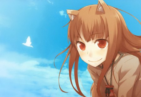 ~Holo~ - bird, anime, spice and wolf, holo, sky