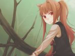 Spice & Wolf