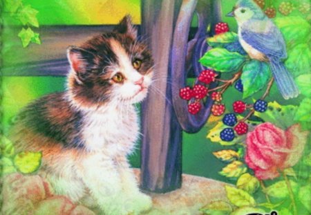 new friends - garden, bird, kitten, cat, painting