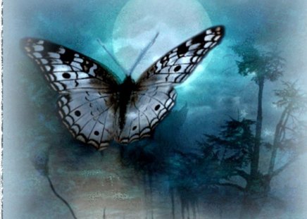 flying to the moon - moon, animal, blue, butterfly, lake, night