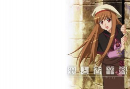 ~Holo~ - looking out, flowing hair, holo, anime, spice and wolf