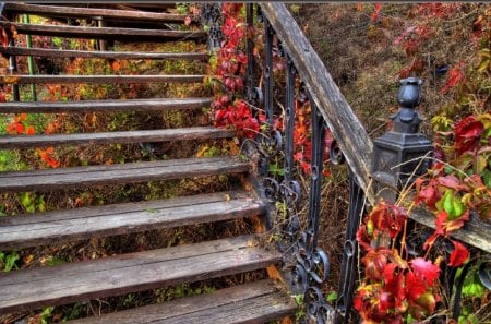 	An old wooden stairway - stairway, old, wooden