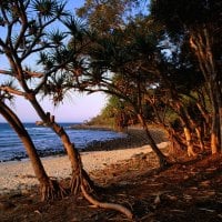 tea tree beach noosa national park queensland australia