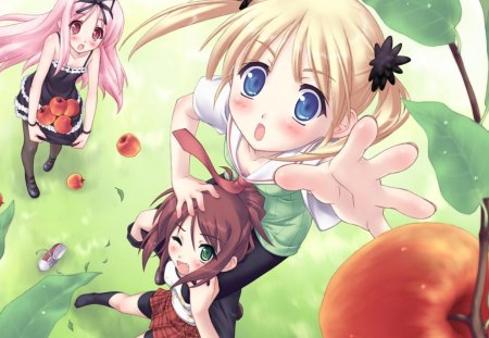 Apple Picking - anime, anime girls, apple, blushing