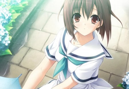 After Rainfall - school uniform, umbrella, anime, anime girl, school girl