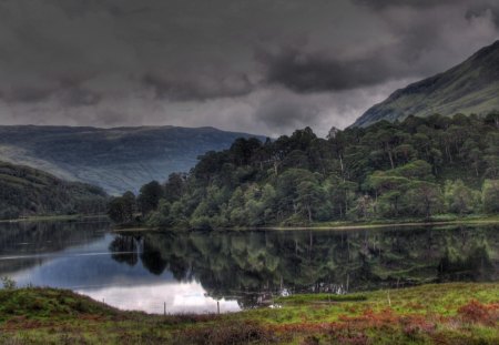 scotland forest - forest, scotland