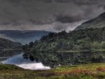 scotland forest