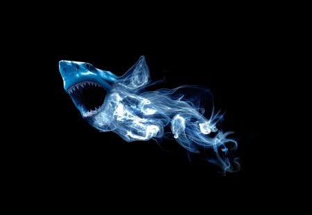 Shark - abstract, shark, animal, blue