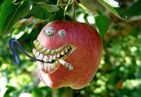 Crazy Apple - crazy, fruit, smoke, hang, teeth, apple, tree, tongue