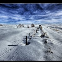 Snow Field