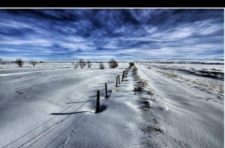 Snow Field - field, snow