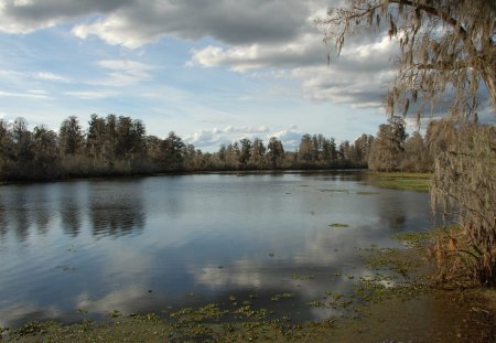 Lake - lakes, forests