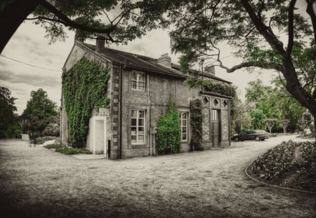 	Nantes   Jardin des Plantes - black, green