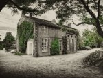 	Nantes   Jardin des Plantes