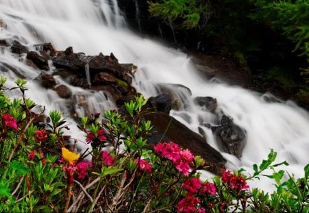 Mountain cascades - pretty, cascades, summer, Alps, creek, bushes, stream, spring, mountain, flowers, fresh, floating, nice, greenery, beautiful, lovely, freshness, colorful, river, nature, waterfall