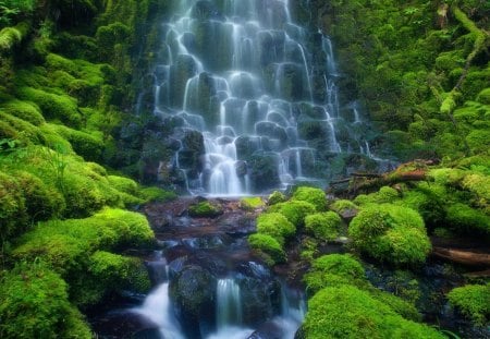 Waterfalls - nature, waterfalls, forest, rain