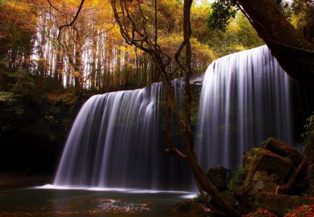 Waterfall in Forest - falls, landscape, trees, water, rocks