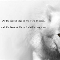 wolf wisdom