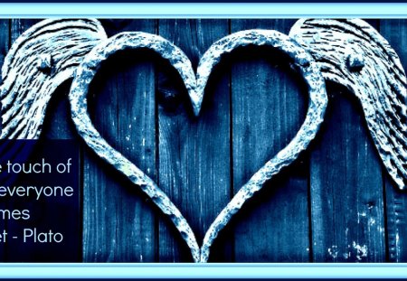 Touch of Love - touch, heart, blue, wings