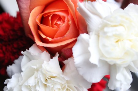 Rose and Carnations - white, carnation, orange, flowers, rose