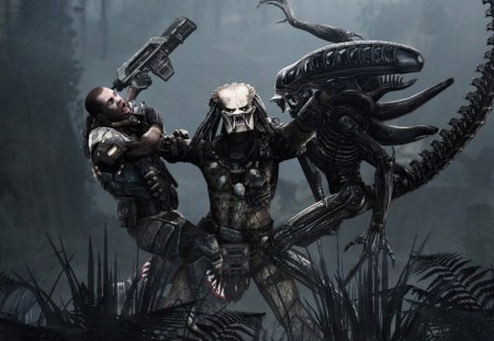 Alien vs Predator - alien, avp, predator, alien vs predator