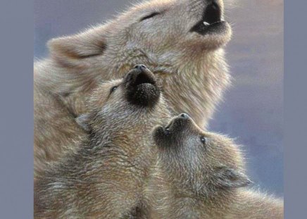 Just like Mom - wolves, grey, mother, pups, howling