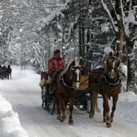 sleigh ride