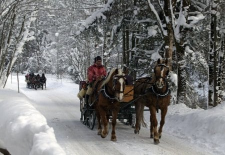 sleigh ride - winter, pretty, snow, beautiful