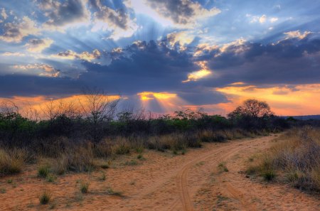 Crepuscular Sun Rays - sky, landscape, clouds, desert, crepuscular, nature, sun rays