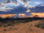 Crepuscular Sun Rays