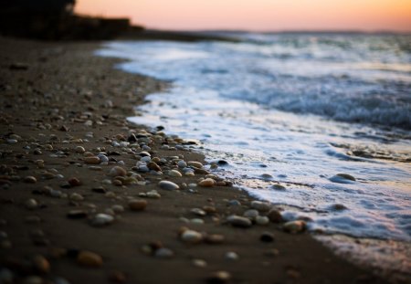 pebble-beach-sean-odonnell - sea, nature, beach, Pebble