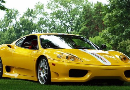 Ferrari 360 Challange stradela - yellow, car, ferrari, grass