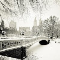 Winter in Central Park new york