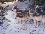 Wolfpack in Snow