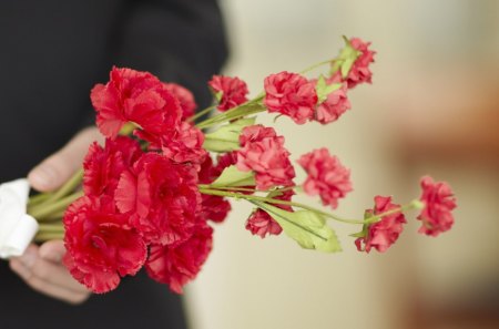 Red flowers - flowers, hand, man, red