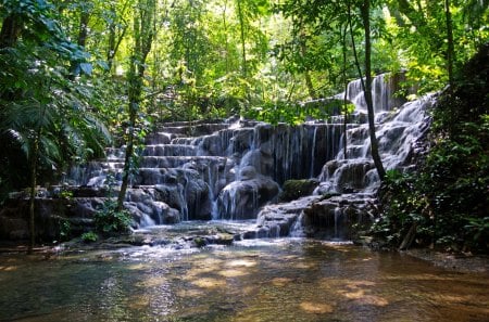 Forest Waterfall - cascades, trees, stones, creek