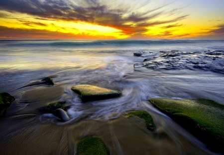 SUN is SETTING - sand, rocks, algae, sunset, sea