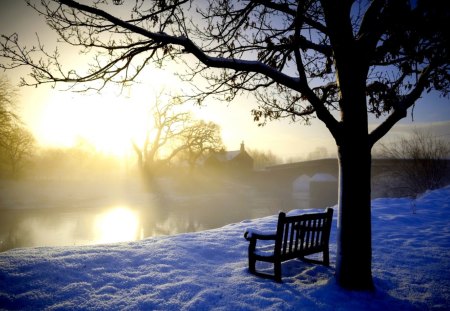 WINTER WATCH - winter, view, mist, bench, lake, tree, park