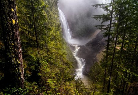 waterfalls - jungle, Water, nature, falls