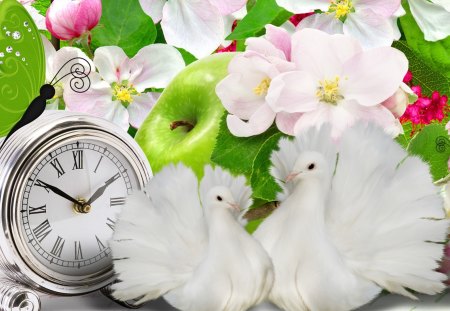 Time for Spring - papillon, birds, sakura, cherry blossoms, dove, fragrant, clock, spring, sweet, peace, apple blossoms, flowers, time, butterfly, apple