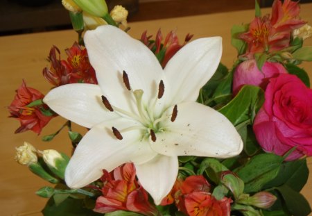 Pretty Lilly - pretty, lilly, white, nature, digital, bunch, compact camera, flower