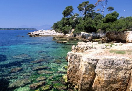 clear sea at sandstone shore - trees, reef, clear, shore, sea